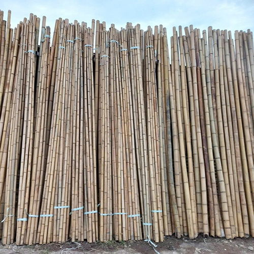 TRÚC SƠ CHẾ CHỐNG MỐI MỌT 3M (ĐƯỜNG KÍNH 4-5 CM)